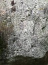 18ª 20240908_183830.jpg