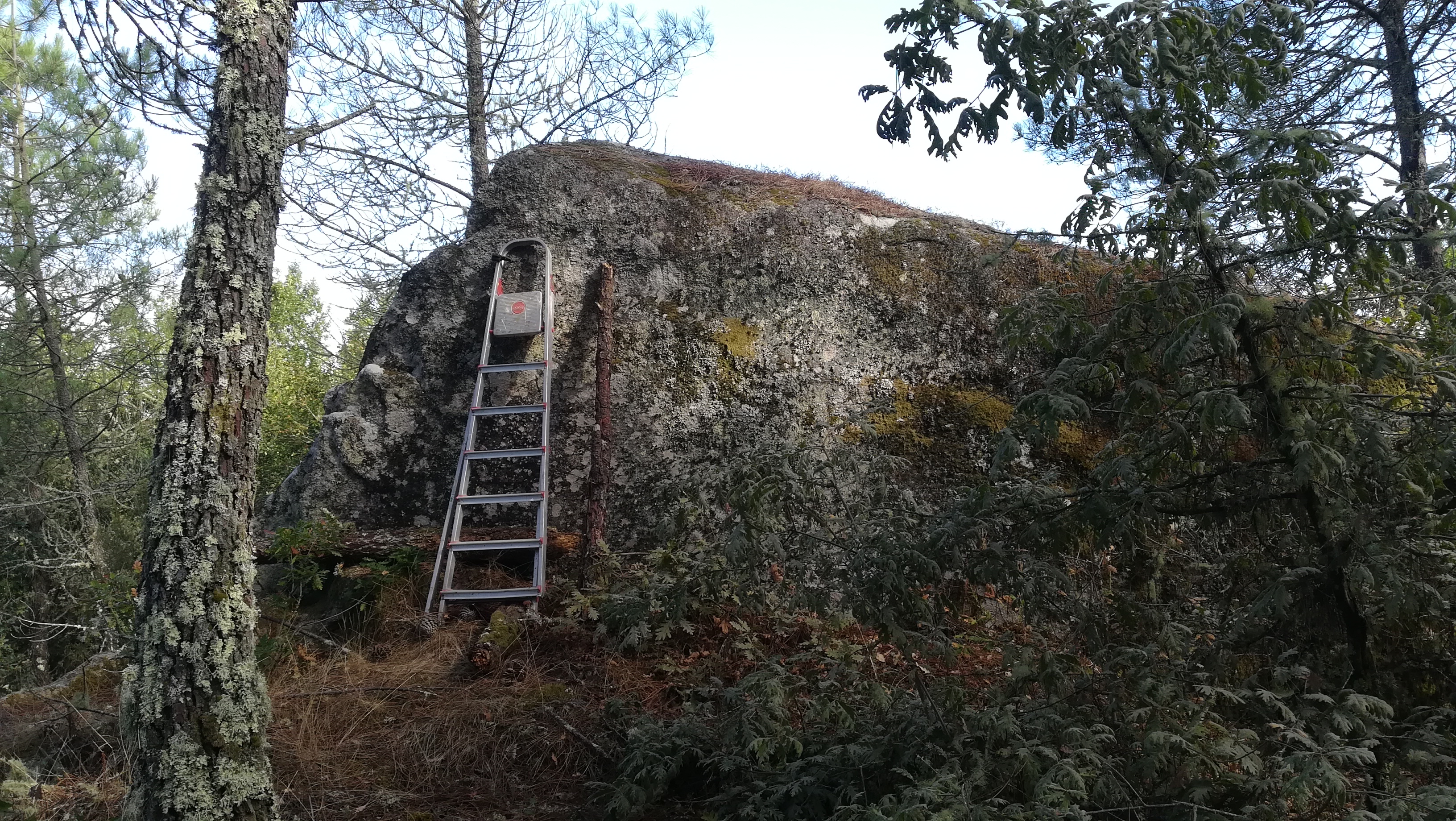 1ª 20250909_105129.jpg