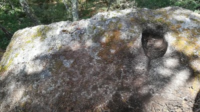 5ª 20250909_112002.jpg