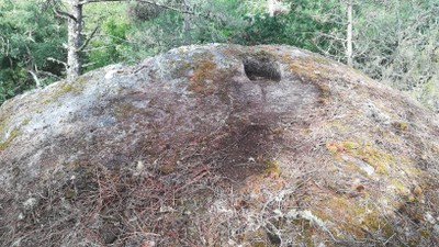 6ª 20250909_112147.jpg