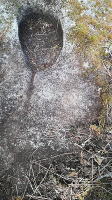 7ª 20250909_112405.jpg