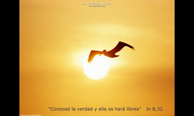 Conoced la verdad y ella os hara libres