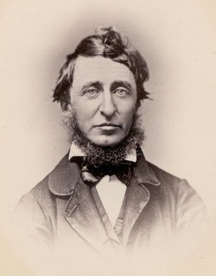 Henry David Thoreau retrato